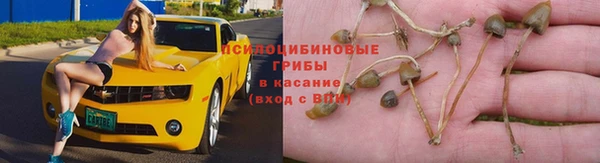 эйфоретик Нея
